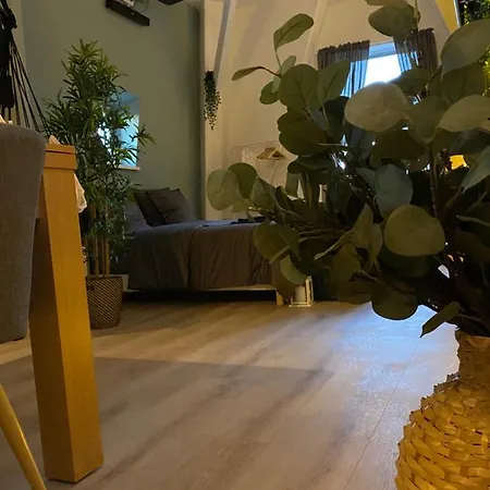 Zen - Roubaix-lille - Balneo - Cinema - Billard *